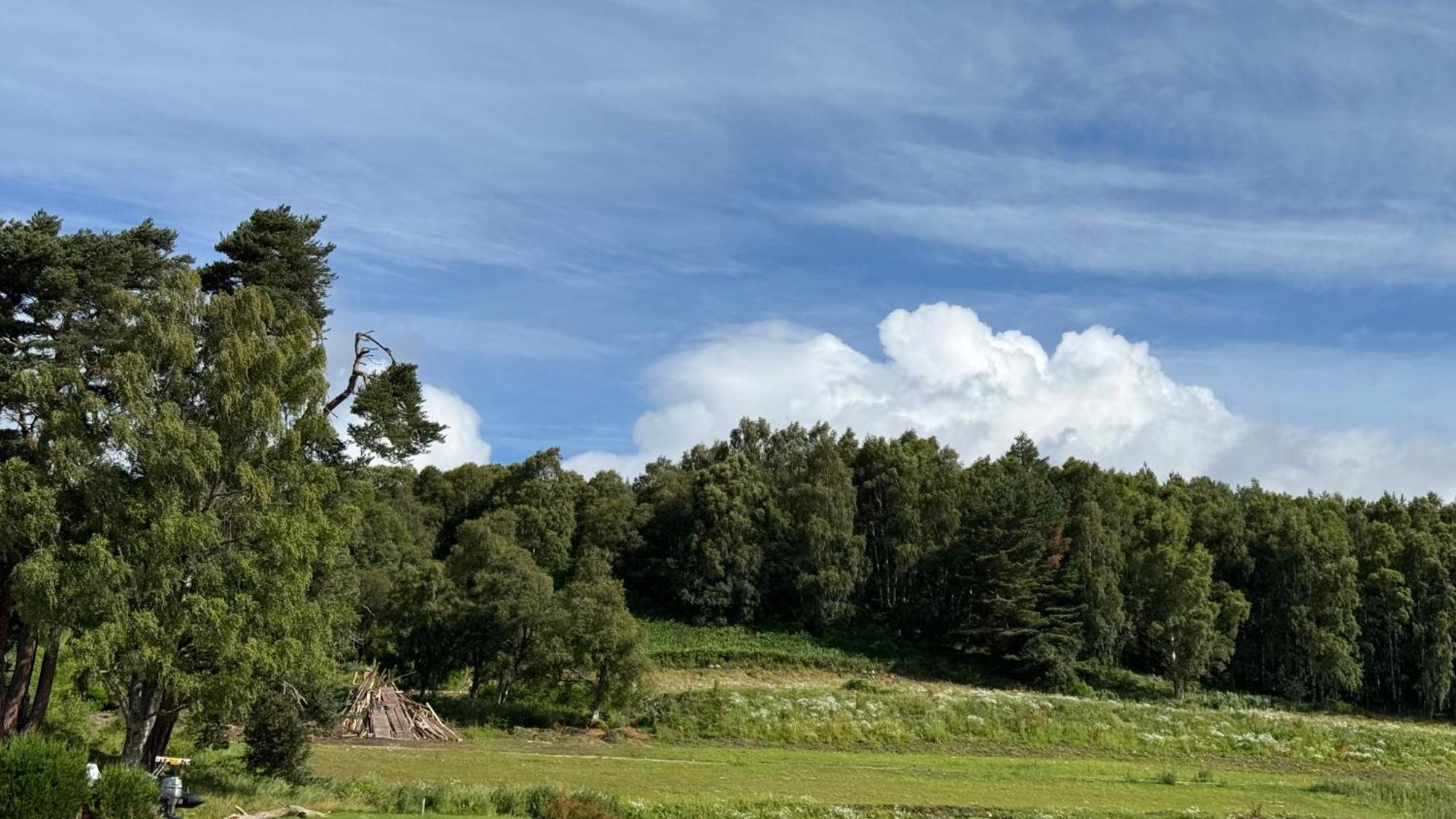 Wildcat Lodge Grantown On Spey Grantown-on-Spey Exterior foto